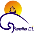 KseliaEhitus