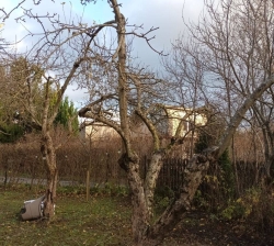 Обслуживание недвижимости