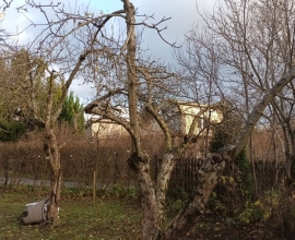 Обслуживание недвижимости