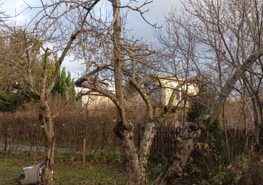 Обслуживание недвижимости